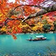 静观体育